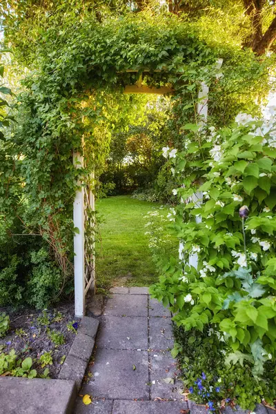 Big outside door in nature to beautiful garden. Decorative neglected arched iron entrance to grass, plants, stone, lush greenery and trees. Busy over grown path with entangled roots on a sunny day