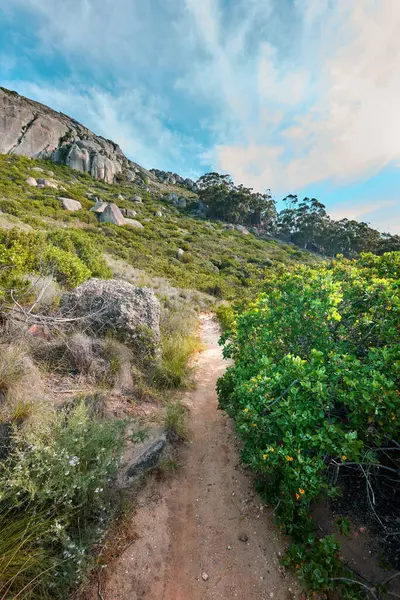 A hiking trail up a mountain surrounded by lush green plants and nature with a cloudy blue sky. Beautiful landscape of a path on a mountainside near bright foliage with copy space on a summer day.