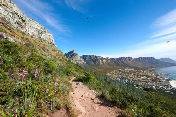 在山上的风景远足小径 在南非开普敦的十二个使徒 他们的植物在蓝天的映衬下生长 悠闲地欣赏美丽而崎岖的自然景观 进行探险和旅游 — 图库照片