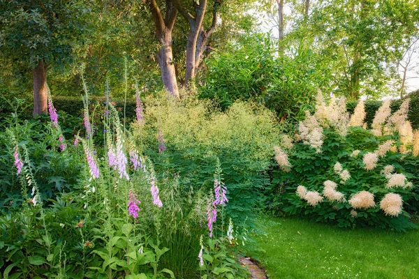 Beau Jardin Mixte Fleurs Arbres Une Variété Plantes Naturelles Différentes — Photo