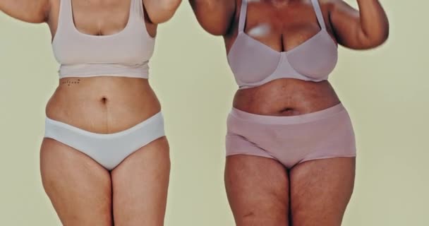 Tomando Mano Más Cuerpo Tamaño Mujeres Felices Ropa Interior Estudio — Vídeos de Stock