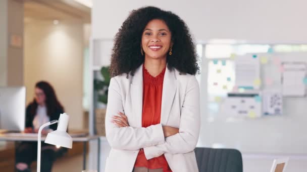 Confident Human Resources Manager Looking Motivated Ambitious Success Portrait Black — Vídeo de stock