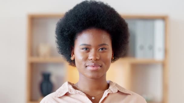 Portrait Afro Fashion Entrepreneur Funky Cool Trendy Hairstyle Showing Friendly — Vídeos de Stock