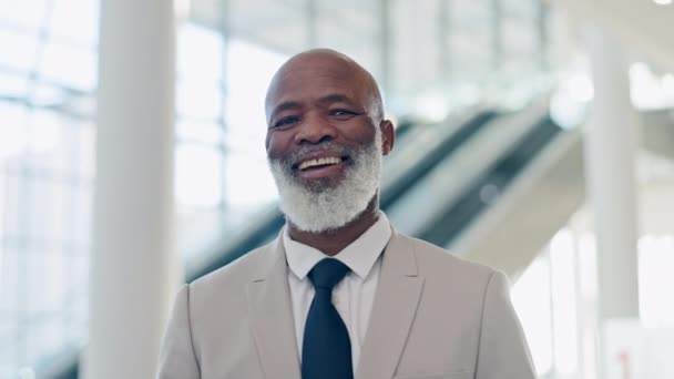 Gerente Cara Negócios Com Homem Negro Escritório Para Feliz Orgulho — Vídeo de Stock