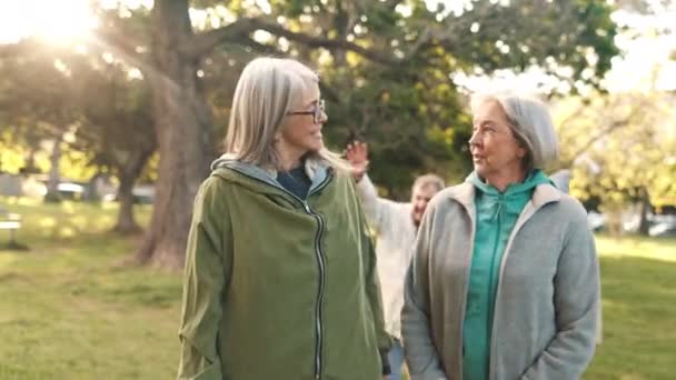 Starsi Przyjaciele Spacerujący Rozmawiający Parku Razem Poranne Ćwiczenia Zacieśnianie Więzi — Wideo stockowe