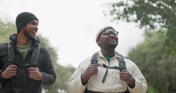 Dostlar Erkekler Kampta Sohbet Ederek Yürümek Orman Yolculuğu Için Mutlu — Stok video