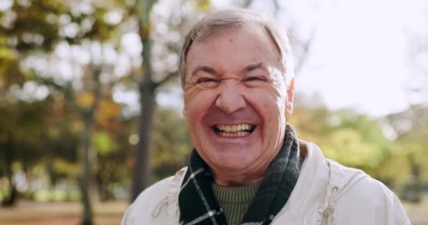 Природа Смех Лицо Пожилого Человека Улыбкой Свободы Расслабления Солнечного Света — стоковое видео
