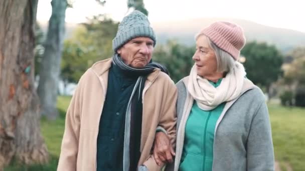 Casal Velho Andando Conversando Parque Juntos Para Exercício Manhã Amor — Vídeo de Stock