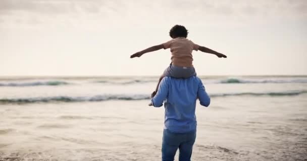 Strand Vliegtuig Ouder Met Kind Natuur Achteraanzicht Met Liefde Vertrouwen — Stockvideo