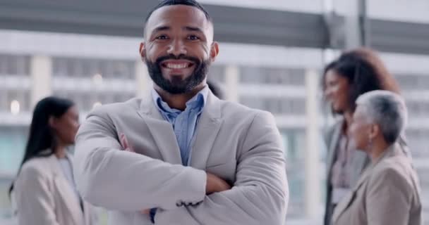Business Gesicht Und Mann Mit Verschränkten Armen Lächeln Und Finanzberater — Stockvideo