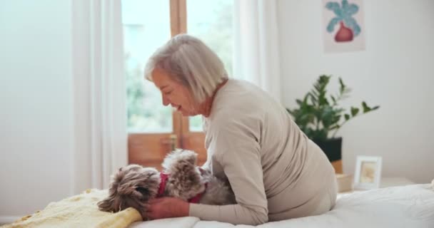 上了年纪的女人 狗狗或亲吻在卧室里为了爱情 照顾或宠物朋友的健康而在退休 老年人 家养动物或快乐地结合在一起 在家里为忠诚或微笑而嬉戏 — 图库视频影像