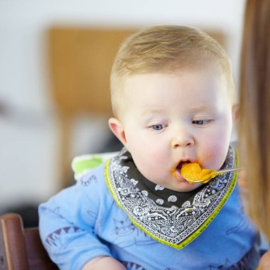 Bebek maması, havuç ya da kabakla öğle yemeği için mutfakta kaşıkla yemek ve yemek. Küçük çocuk, bebek ya da lezzetli, lezzetli ve sağlıklı gelecek, büyüme ya da çocuk gelişimi için aç..