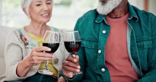 Accueil Acclamations Couple Personnes Âgées Avec Vin Rouge Célébration Anniversaire — Video