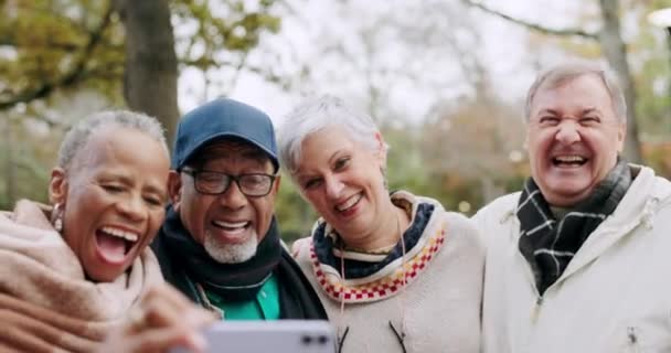 Αστεία Γέλιο Και Την Ομάδα Των Ηλικιωμένων Φίλους Ένα Πάρκο — Αρχείο Βίντεο