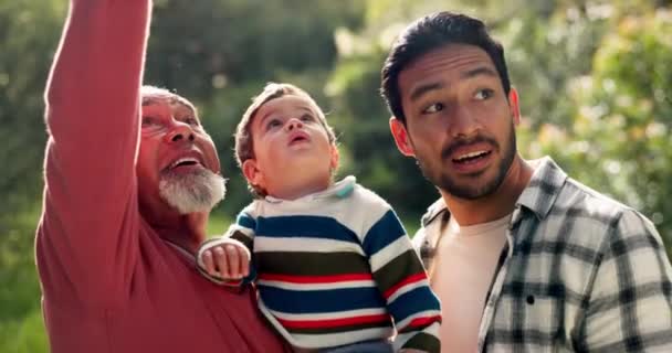 와우와 공원에서 어린이와 할아버지와 아버지 놀라움과 아빠는 시골에서 유대감과 흥분을 — 비디오