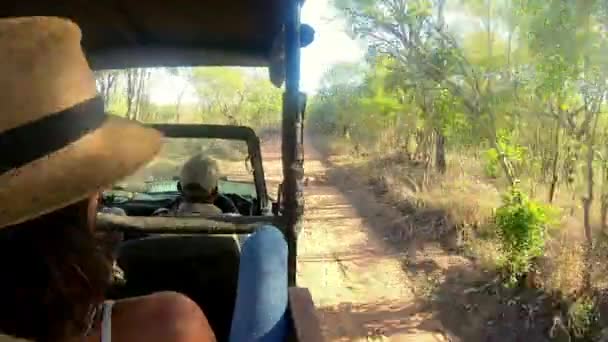 Nature Safari People Driving Cart Summer Vacation Holiday Weekend Trip — Stock Video
