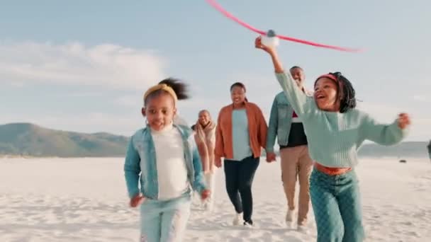 Сім Літак Діти Бігають Пляжі Батьками Язок Гру Відпочинок Природі — стокове відео