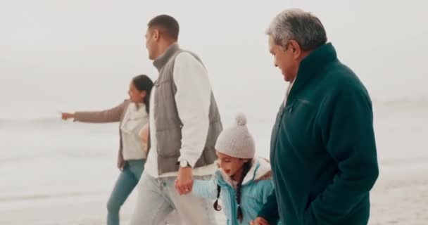 ビーチ ウォーキング 子供たちは 冒険に自然の中で両親を抱えています 旅行および幸せな子供 楽しみおよび質の時間のための海による親および祖父 — ストック動画