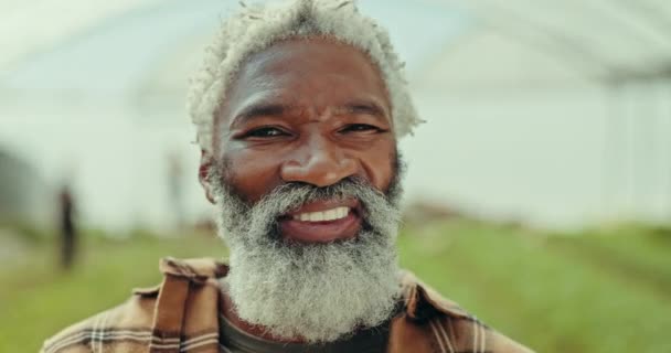 Tvář Úsměv Muž Skleníku Pro Zemědělství Ekologii Nebo Udržitelné Zemědělství — Stock video