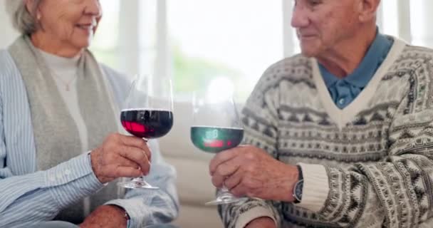 Αγάπη Ζήτω Και Ηλικιωμένο Ζευγάρι Κρασί Στο Σαλόνι Για Δεθούμε — Αρχείο Βίντεο