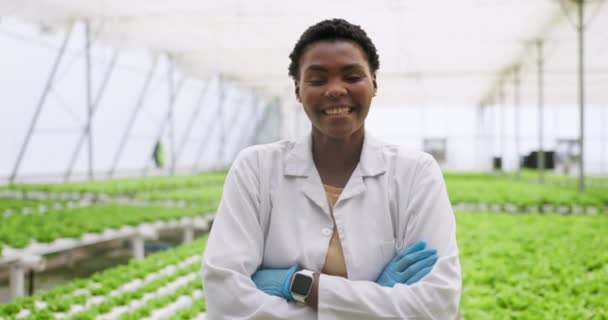 Kvinna Porträtt Och Hydroponisk Odling Lantbruksanläggningar Inspektion Kvalitetskontroll Eller Forskning — Stockvideo
