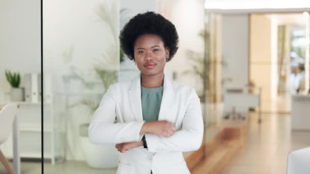 Femme Entrepreneure Gestionnaire Entreprise Confiante Prospère Travail Une Employée Bureau — Video