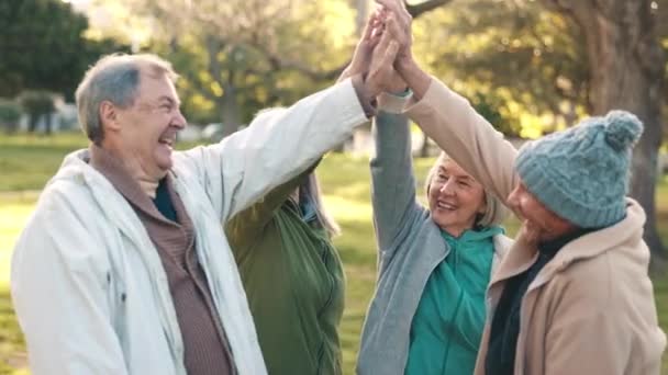 ハッピーな人々 シニア そして一緒に公園のハイ5人のために コミュニティでの祝賀のために手を差し伸べます 高齢者 または友人 自然との団結 引退または健康のために笑顔で拍手 — ストック動画