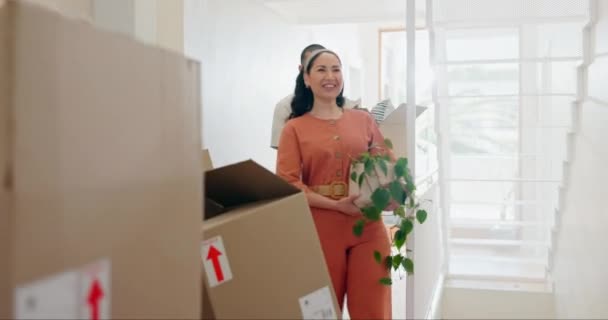 Couple Moving Pointing New Home Boxes Plants Happy Thinking Chat — Stock Video