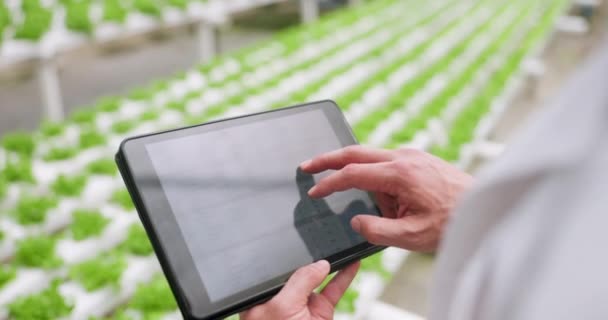 Greenhouse Tablet Screen Person Closeup Sustainability Digital App Internet Agriculture — Stock Video