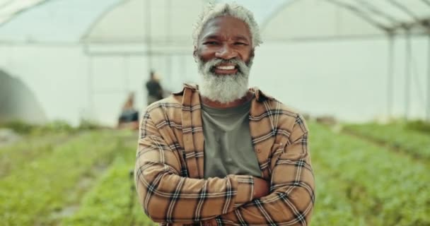 環境中の植物の農業 生態学 持続可能性のための温室で顔 肖像画 幸せなアフリカの農民と腕が農業 農業の生産のために交差した — ストック動画