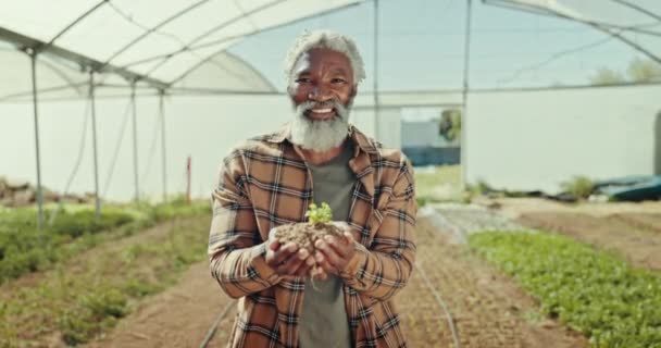Landwirt Senior Und Gesicht Des Bodenwachstums Für Landwirtschaft Nachhaltigkeit Und — Stockvideo