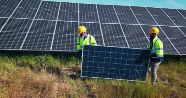 Сонячні Панелі Інженерні Люди Установка Сітки Командної Роботи Відновлювана Енергетика — стокове відео
