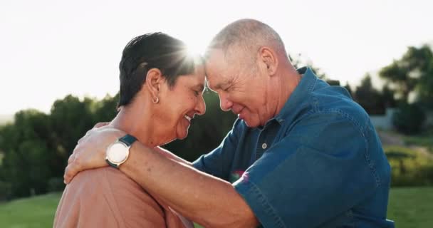 Sărut Parc Cuplu Senior Dragoste Întâlnire Împreună Pentru Sprijin Confort — Videoclip de stoc