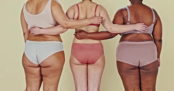 Vücut Pozitifliği Çamaşırı Kadın Arkası Kucaklaşması Dayanışma Doğal Güzellik Kabullenme — Stok video
