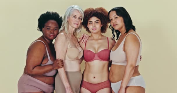 身体上的积极因素 内裤群体或多样性 妇女的团结 骄傲和支持 平等或时尚包容性 工作室社区朋友 内裤和绿色背景下的妇女赋权 — 图库视频影像
