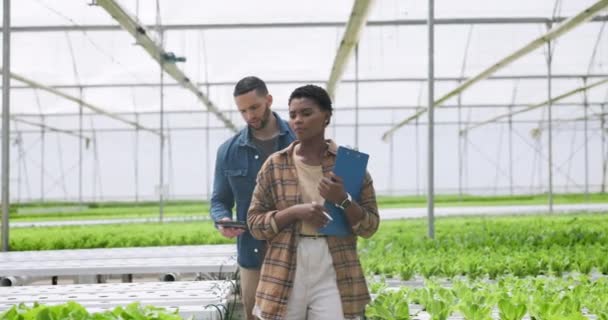 Mulher Homem Inspeção Plantas Estufa Com Prancheta Caminhando Juntos Agricultor — Vídeo de Stock