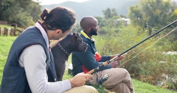 Balıkçılık Köpekler Erkekler Gölde Rahatlar Bağ Kurar Doğada Sohbetle Eğlenirler — Stok video