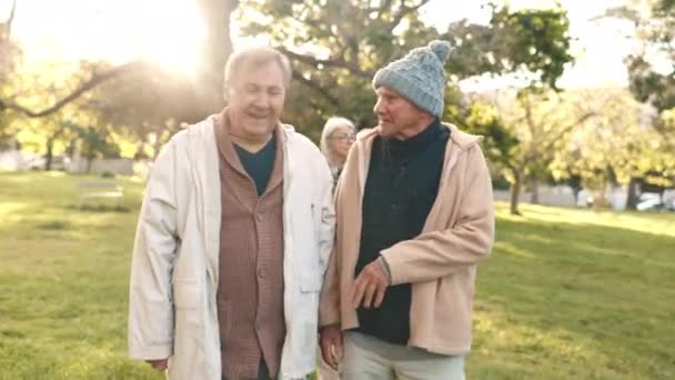 老朋友们 一起散步 在公园里聊天 一起晨练 聚精会神 愉快地交谈 自然和老年人 男人们在花园里跋涉 讨论着 在树上晒太阳 — 图库视频影像