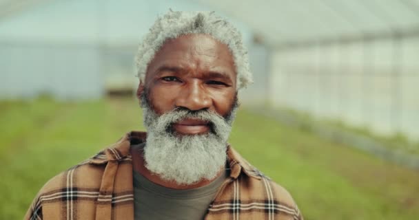 Homme Visage Sourire Serre Pour Agriculture Écologie Durabilité Des Plantes — Video