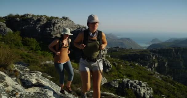 Wandern Berge Oder Freunde Wandern Naturerlebnis Die Natur Für Den — Stockvideo