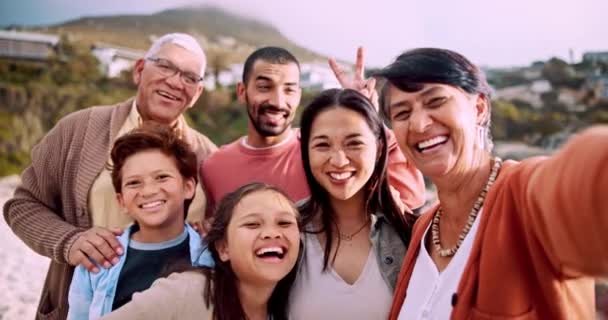 Plaża Selfie Twarz Dużej Rodziny Uśmiechem Wakacjach Wakacjach Lub Weekendowej — Wideo stockowe
