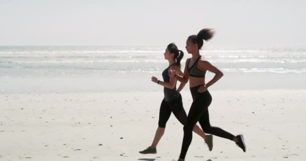 Donne Amici Correre Con Fitness Spiaggia Allenamento Allenamento Responsabilità Con — Video Stock