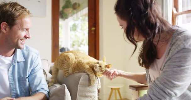 Pareja Gato Sala Estar Apartamento Para Jugar Con Mascotas Feliz — Vídeo de stock