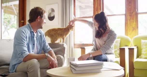 Familie Katze Und Wohnzimmer Couch Zum Spielen Mit Haustier Glücklich — Stockvideo