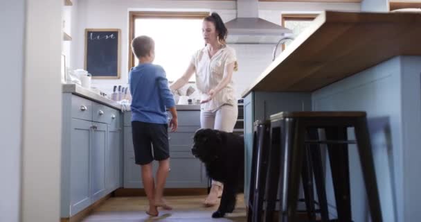 Žena Dítě Kuchyň Pro Tanec Učení Spokojenost Pouto Pro Péči — Stock video