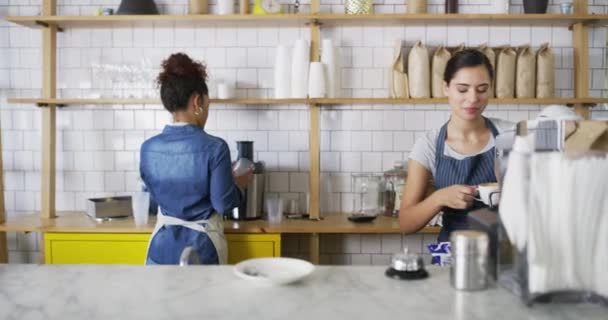咖啡店和咖啡店 在创业 工作和商店为顾客和咖啡店服务 与同事 工人和围裙一起为餐厅 饮料和女服务员提供服务 服务和服务 — 图库视频影像