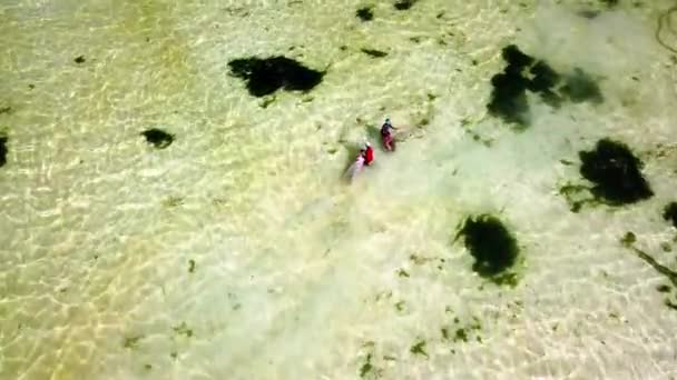 Pessoas Rede Pesca Drone Natureza Oceânica Para Alimentos Proteicos Impacto — Vídeo de Stock