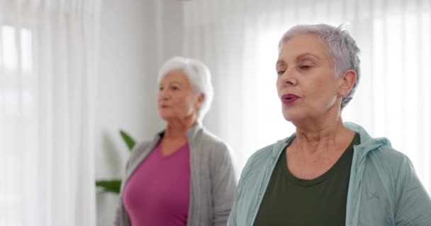 Huzur Yoga Meditasyon Stüdyodaki Yaşlılarla Sağlık Ruh Sağlığı Ruh Sağlığı — Stok video
