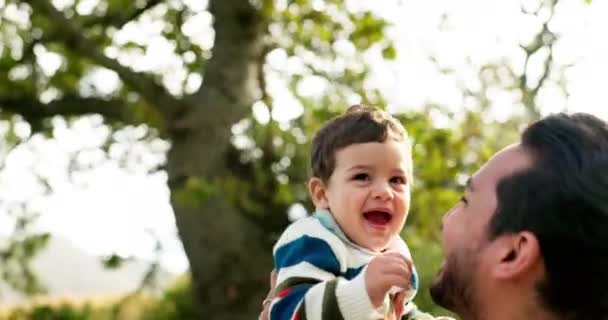 Glad Kærlighed Far Med Baby Parken Spille Sommer Smil Vækst – Stock-video
