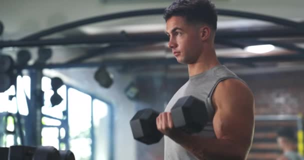 Ginásio Haltere Força Braço Exercício Homem Crescimento Muscular Rotina Treinamento — Vídeo de Stock